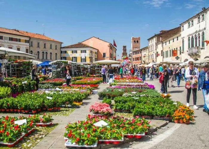 Nirvana's 1 Near Venice Noale